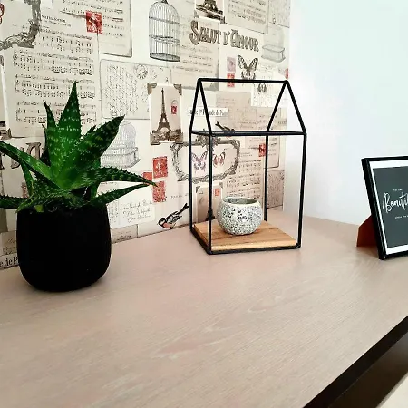 Solid Apartament