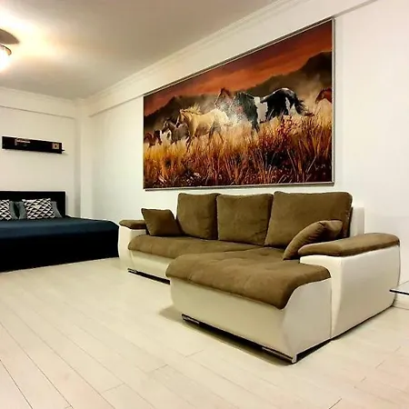 Apartament Solid *