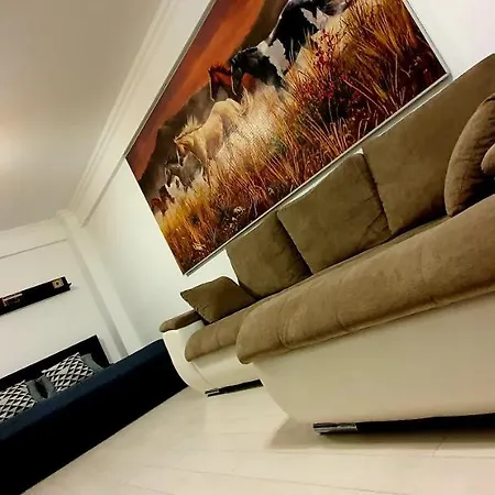 Appartement Solid *