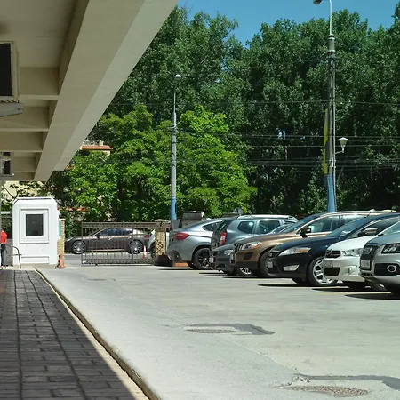Solid Mamaja